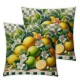 Summer Lemon Decorative Pillow Covers  Outdoor Lemon Flower Leaf Truck Buffalo Check Plaid Throw Pillow Case Home Sweet Home Cushion Cover for Sofa Couch (