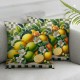 Summer Lemon Decorative Pillow Covers  Outdoor Lemon Flower Leaf Truck Buffalo Check Plaid Throw Pillow Case Home Sweet Home Cushion Cover for Sofa Couch (