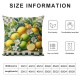 Summer Lemon Decorative Pillow Covers  Outdoor Lemon Flower Leaf Truck Buffalo Check Plaid Throw Pillow Case Home Sweet Home Cushion Cover for Sofa Couch (