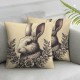 Easter Oil Painting Style  Pillow Covers  Vintage Rabbit Bunny with Flower Wreath Spring Decor Square Throw Pillow Case Cushion Cover for Sofa (Elegant Bunny)