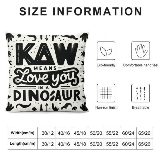 Funny Quote Throw Pillow Cover Rawr Means I Love You in Dinosaur Square Pillow Case Colorful Lettering Decorative Cushion Cover for Home Car Sofa (Dinosaur,