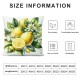 Summer Lemon Decorative Pillow Covers Outdoor Lemon Flower Leaf Truck Plaid Throw Pillow Case Home Sweet Home Cushion Cover for Sofa Couch 