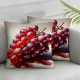  Home Decorative Throw Pillow Covers Cases Square Cushion Cover ruit Pillow Cases for Men Women Kids Sofa Bedroom Livingroom )