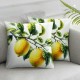 Yellow Lemons Decorative Pillow Covers Super Soft Cushion Cover Nice Gift Indoor Outdoor Home Decor Pillowcase 