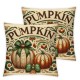  Fall Pillow Covers  Cutest Pumpkin in The Patch Throw Pillowcase Thanksgiving Autumn Holiday Home Decor Sofa Bedroom Cushion Case Outdoor Indoor Decorations