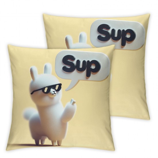 Funny Decorative Throw Pillow Cover Case, Outdoor Pillow Cases Square Cushion Covers for Sofa Car