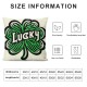 St Patricks Day Pillow Covers Throw Pillowcase Hat Wishes Home Sofa Pillowcase Decoration Cushion Cases